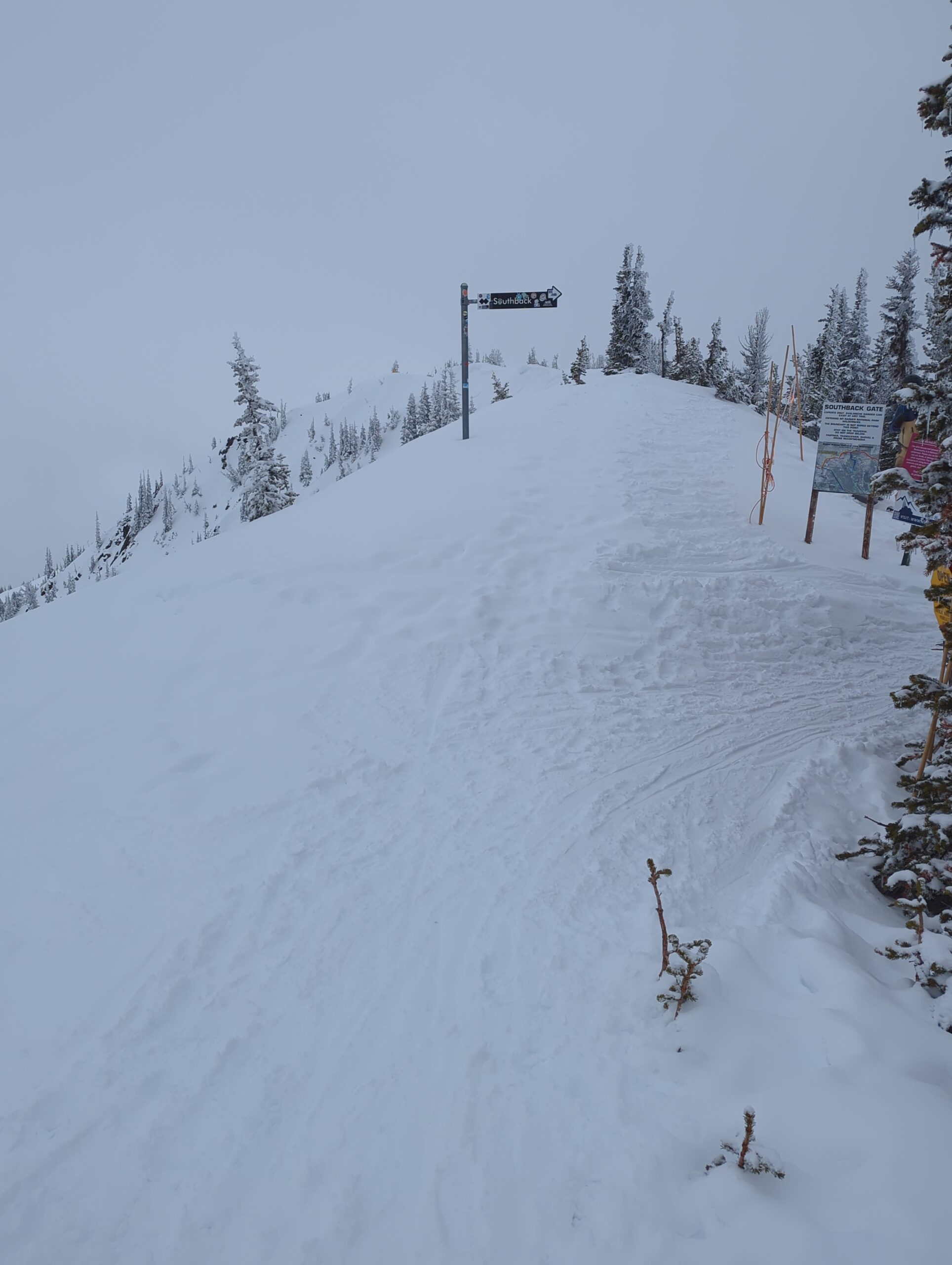 45183223 513e 4ffd 8474 1702e8cac50d scaled.jpg