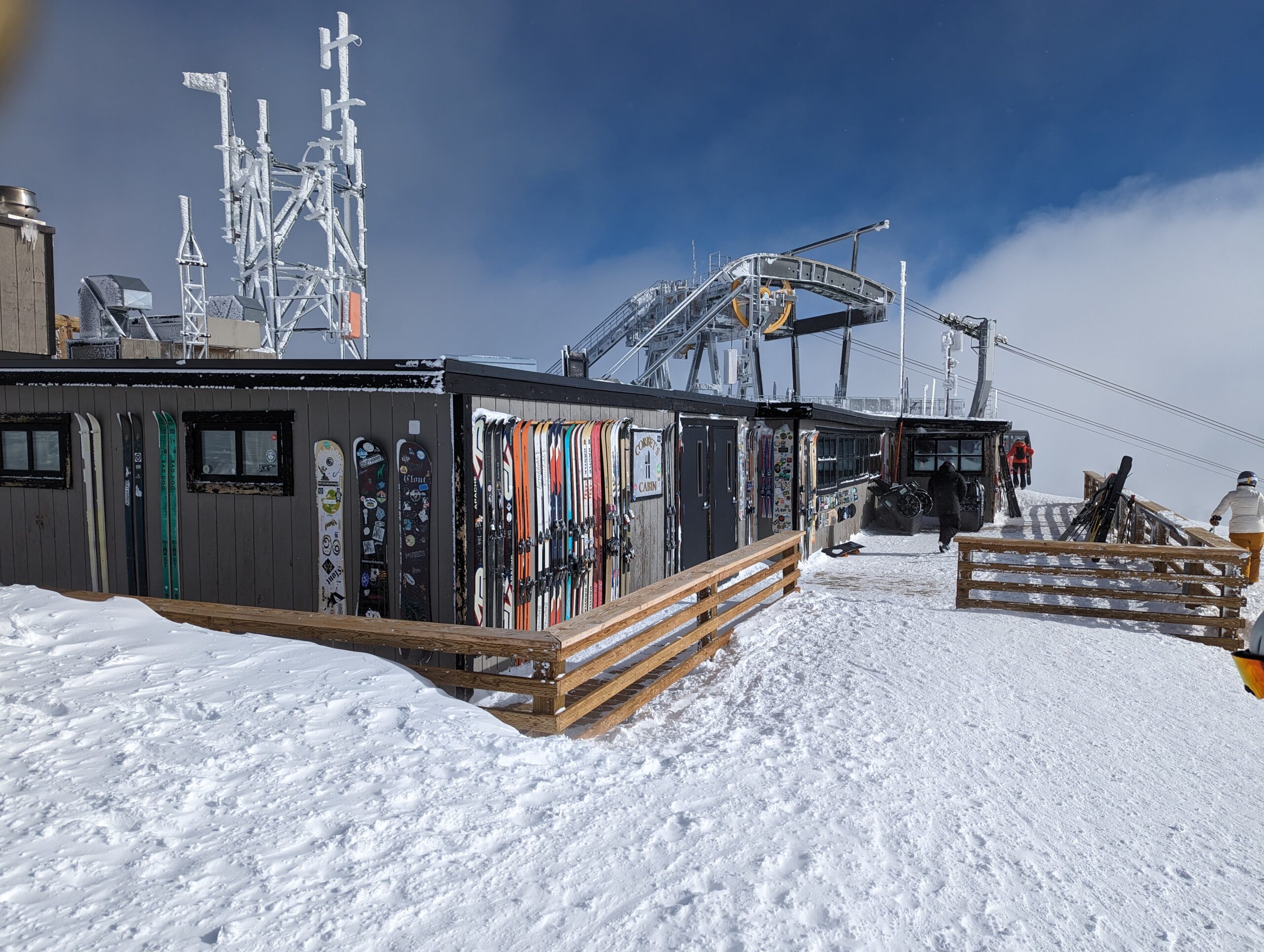 PXL 20230225 170341107 Scaled