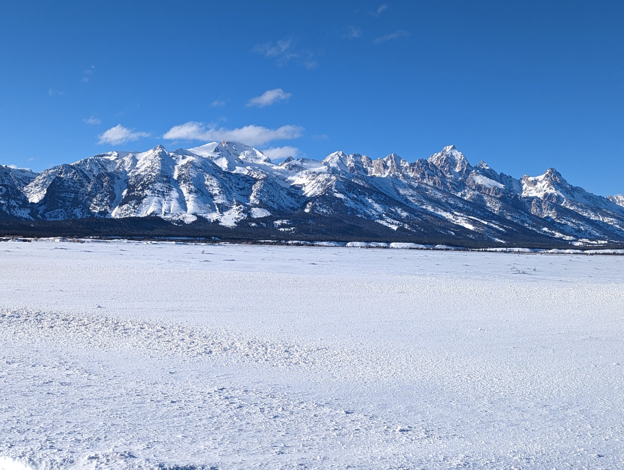 Crafting Captivating Headlines: Your awesome post title goes here