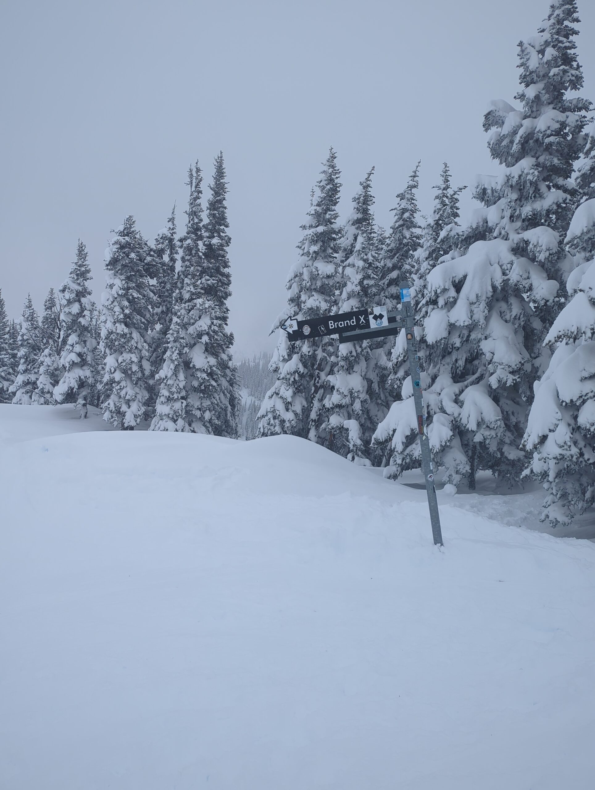 a39332f7 8758 4f8e 8e55 29d9b004a405 scaled.jpg