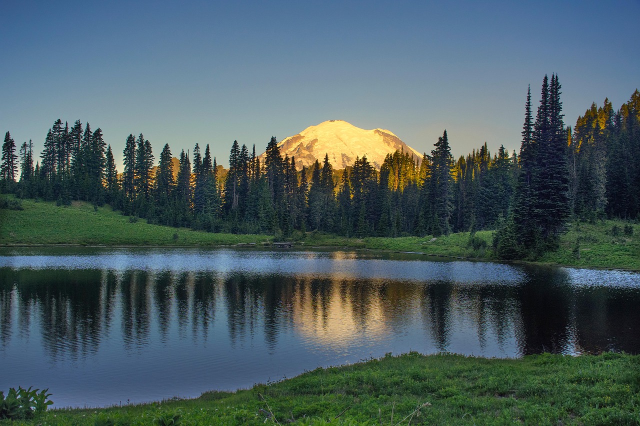 mountain, nature, lake, trees, forest, scenic, reflection, mt rainier