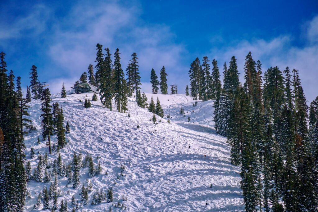 Majestic snow-covered ski slope surrounded by forested mountains in the United States.