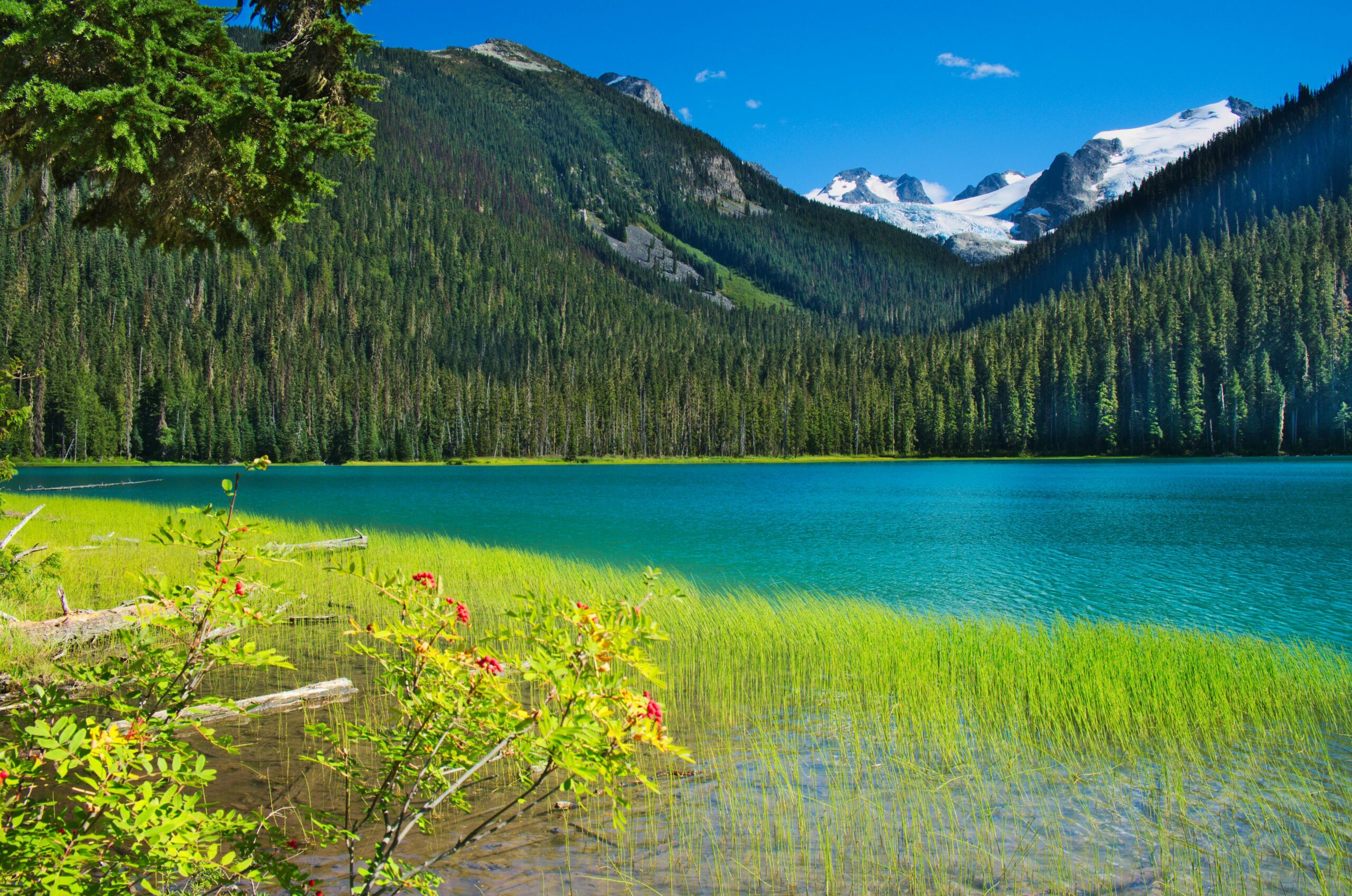 Serene lake in Whistler, BC, with lush greenery and snow-capped mountains.